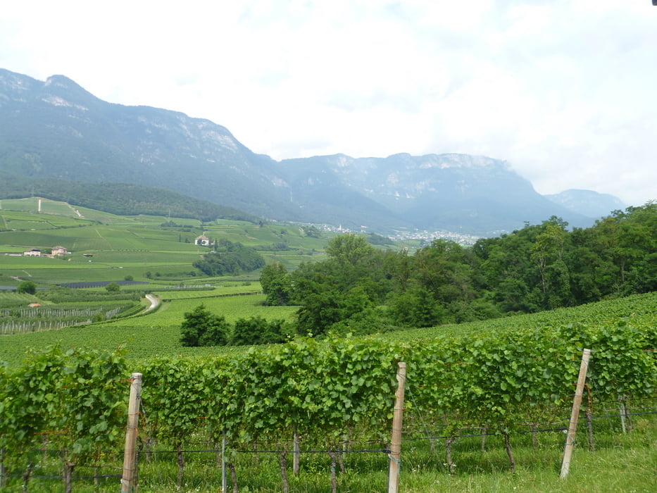 Montiggler See zum Kalterer See und zurück über Kaltern