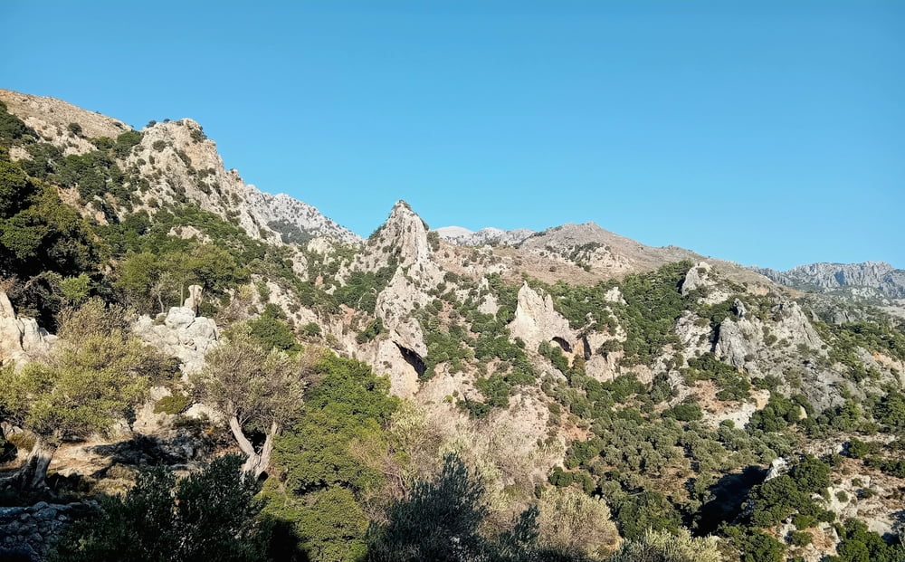 Runde um Platania (u.a. Schlucht und Felsenkapelle)