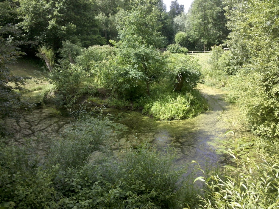 3-Flüsse-Route 1: Wesel – Dingden