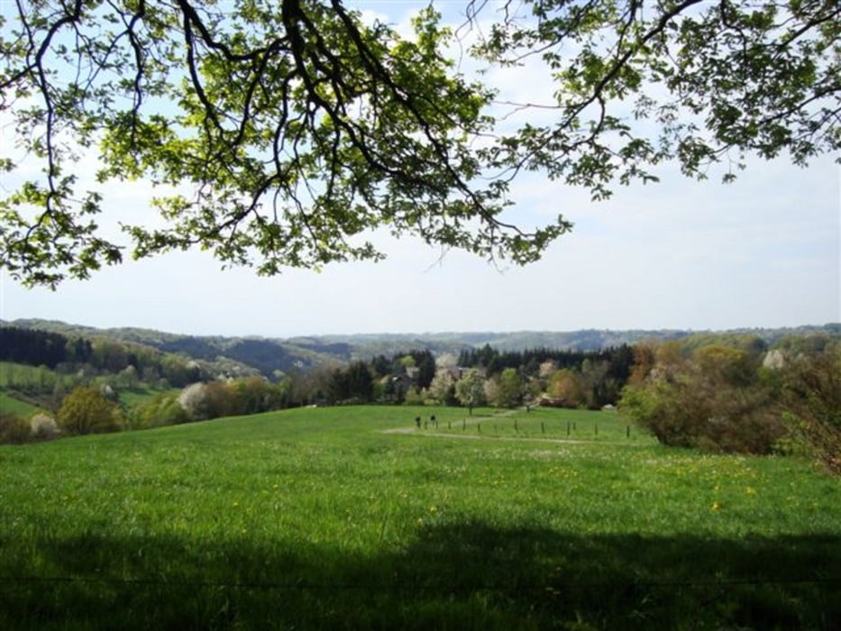 Über die Höhen am Naafbachtal aus Rother Wanderführer -Bergisches Land- Nr.35