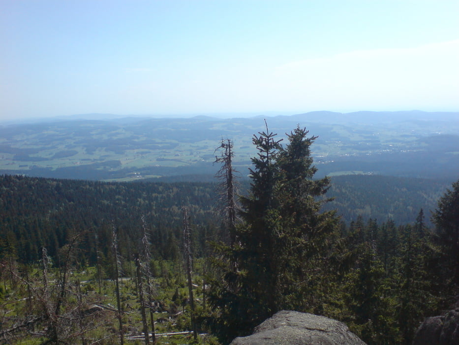 Freyung,Haidel zum Dreisessel und zurück