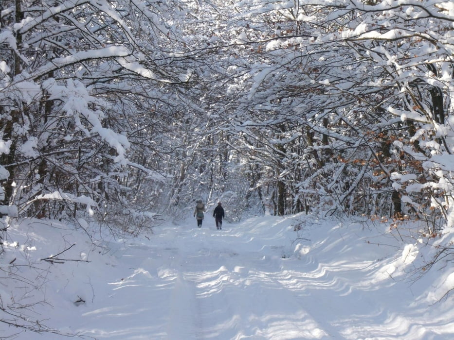 Wandern über der Voralb