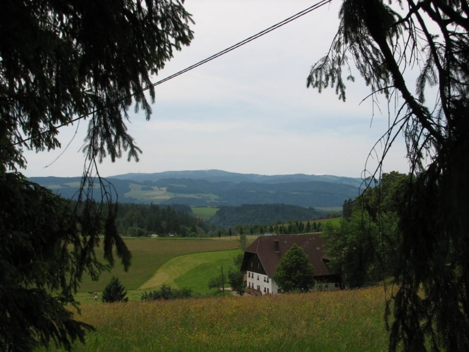 Mittelschwere Trans Schwarzwald - 4 Etappen