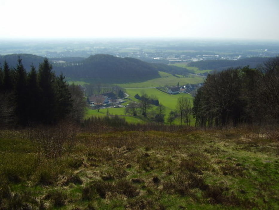 Blick über Halle