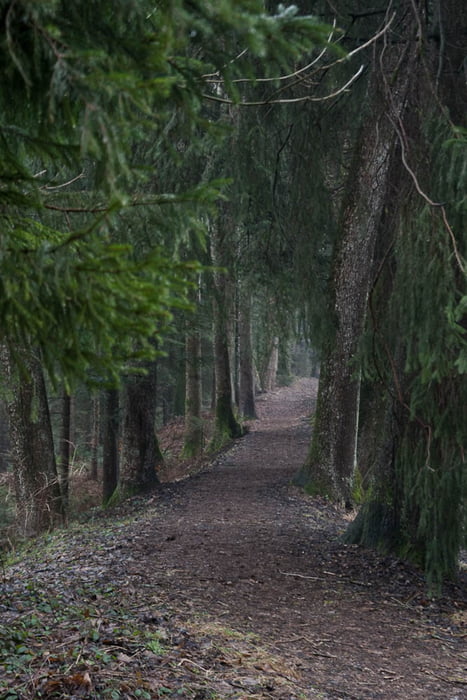 Krählochweiher  Runde