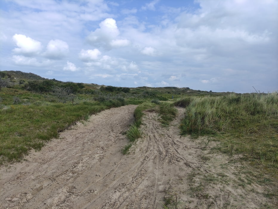 Borkum - Wanderung durch die Dünen (alte Bahnstrecke)