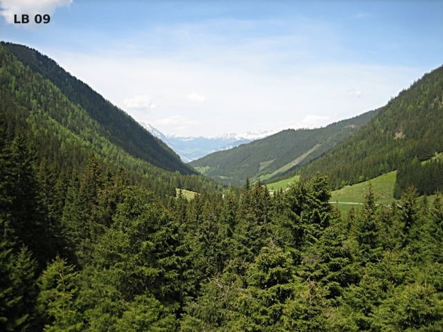 Schaablehen - Planneralm