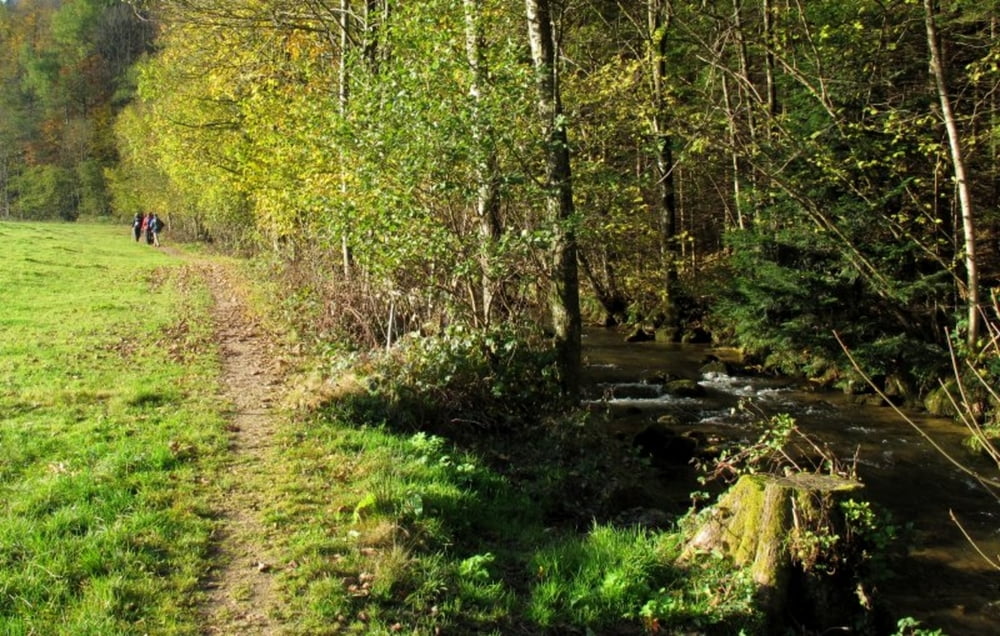 Kapfhütte über der Elz