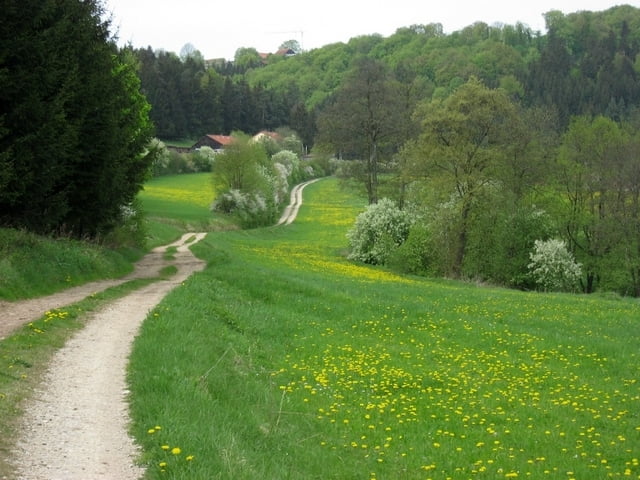 Dietfurt Trails