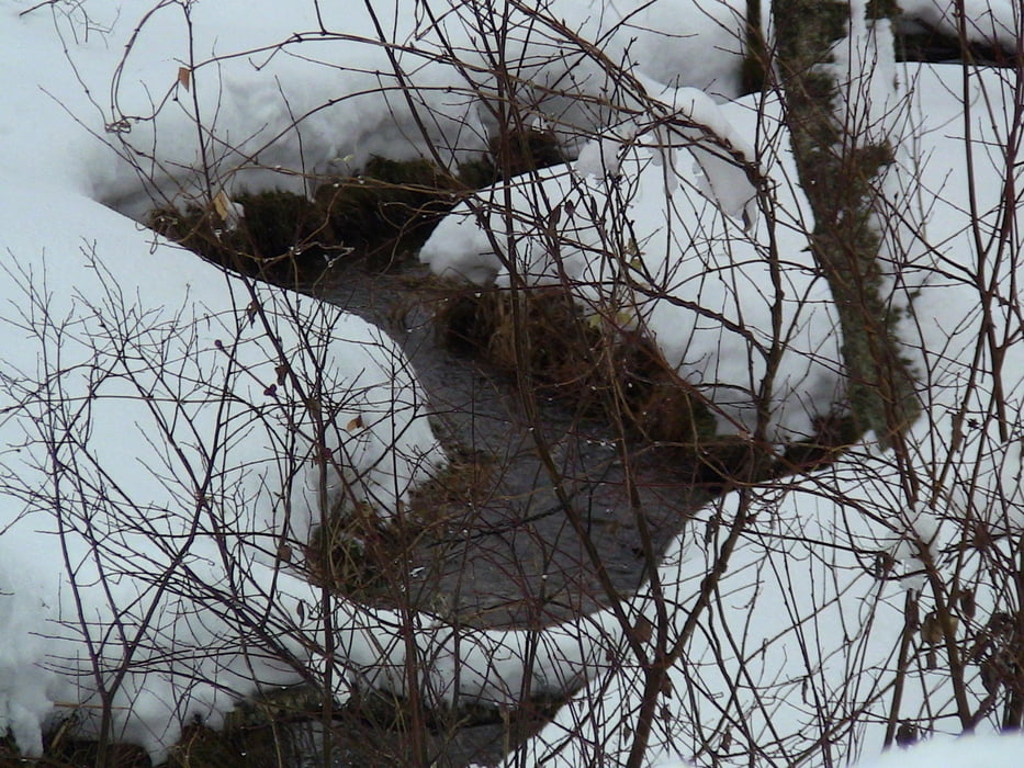 Neujahr im Schnee