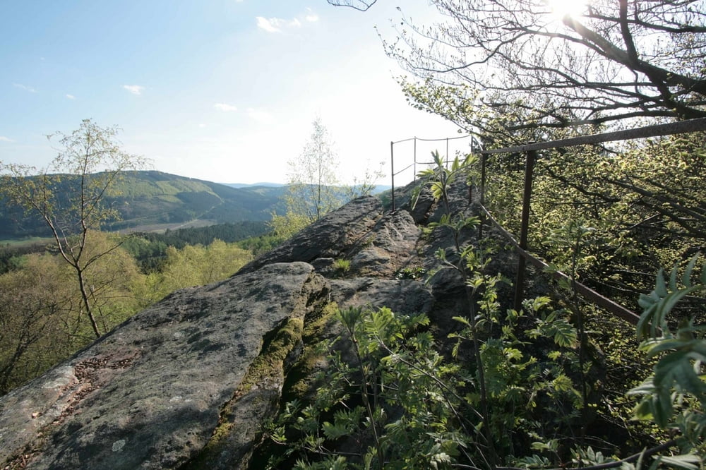 von Elspe zum Rinsleyfelsen