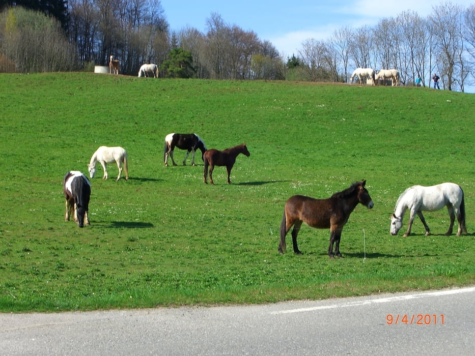 Abwechslungsreiche Mountainbikestrecke