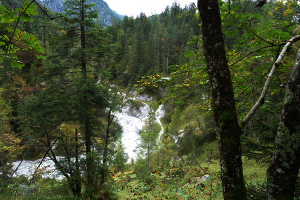 Hochfilzen (Tirol) – Römersattel -  Weißbach (Salzburg)  Gemütliche Panoramawanderung auf einsamen Pfaden mit Sightseeing der Saalachtaler Naturgewalten 