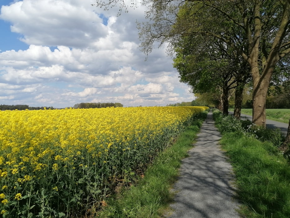 670. Herzlake, große Flußtour an der Hase entlang mit kleiner Hase und Deichhase