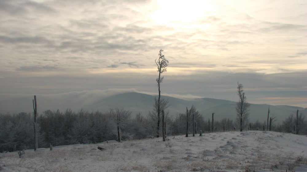 20101219_Z Kuchyne na Vysokú