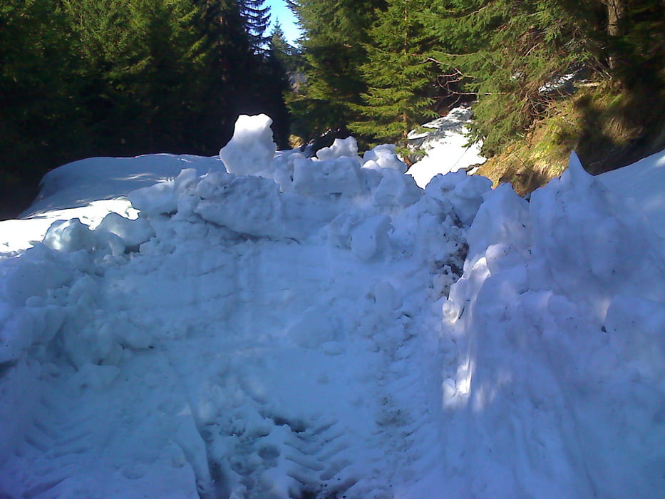 Hohenems - Gsohlalpe - Schönermannalpe - Schuttannen