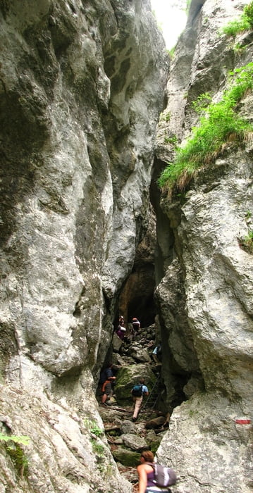 20110618_Weichtalklamm a Schneeberg