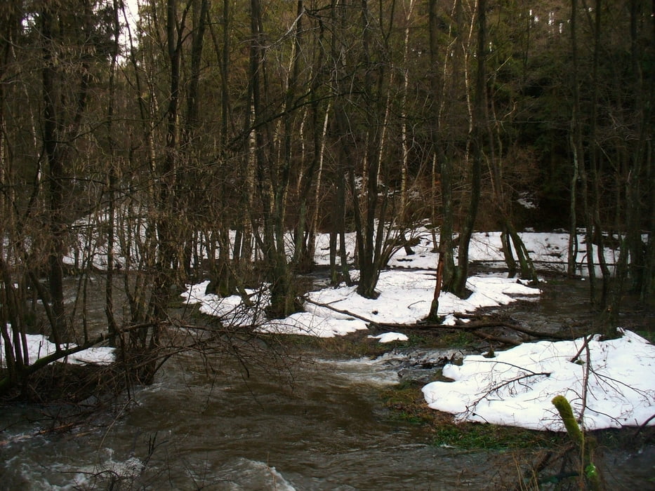 Weheschlucht bei Tauwetter