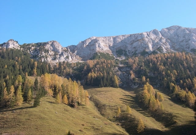 Runde um den Jenner von und zur Seilbahn-Mittelstation