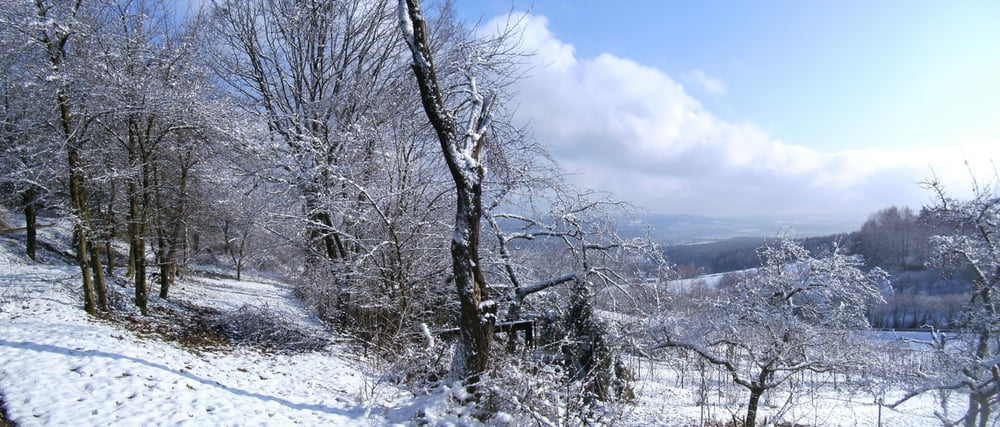 Wandern Franken: über den verschneiten Lindelberg