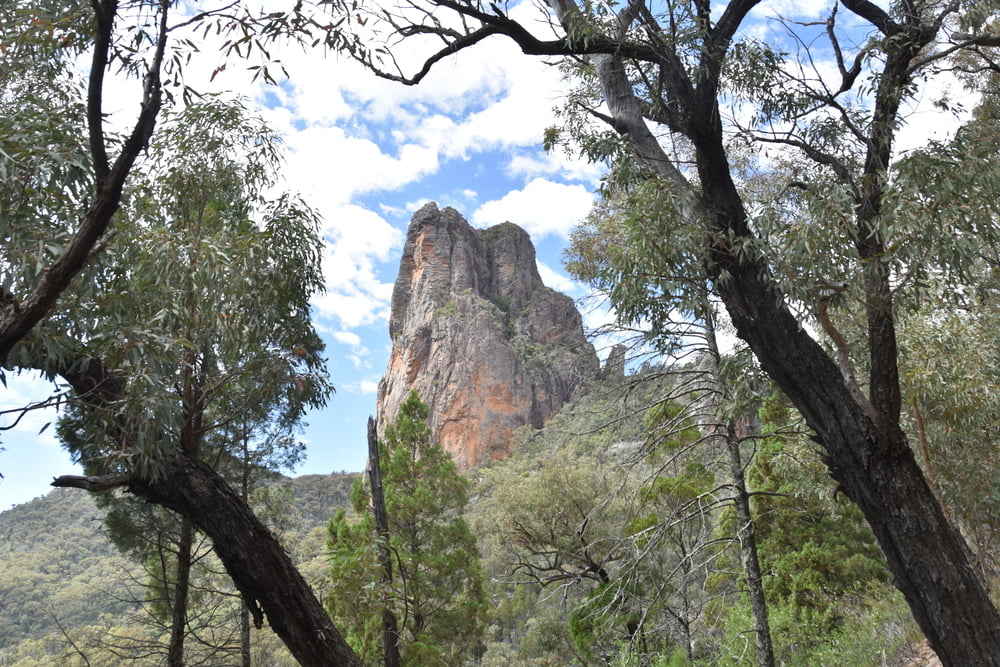 Warrumbungles High Top Track