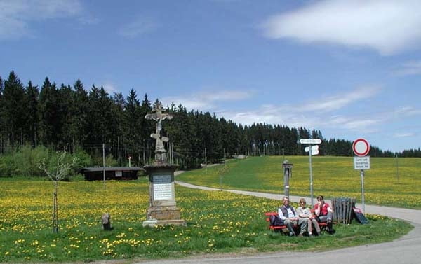 Kleiner Panaoramarundweg in Schwärzenbach mit Alpensicht