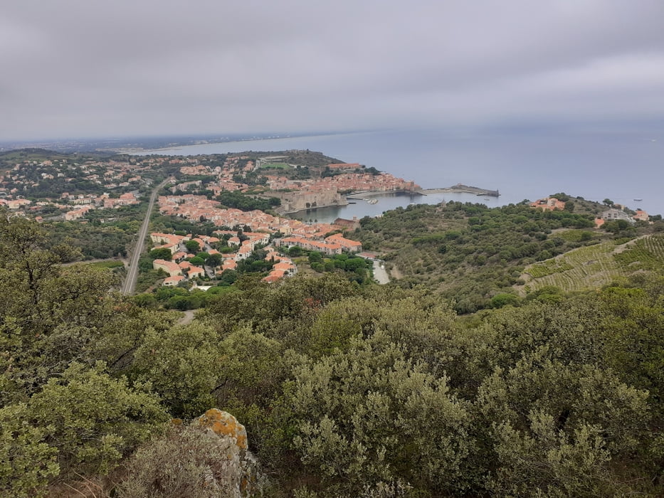 Von Collioure nach Banyuls-sur-Mer