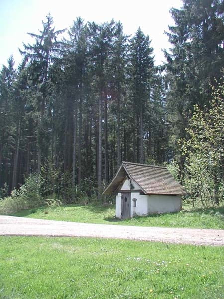 Titisee-Neustadt / Schwärzenbach Rundweg über den Kolmen 