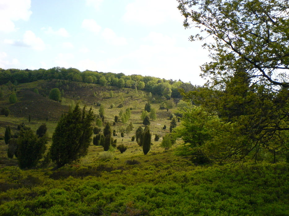 Celle-Schwarmstedt-Wilsede