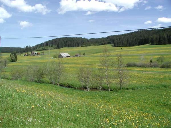 Wanderung um die Fehrn (Titisee-Neustadt)