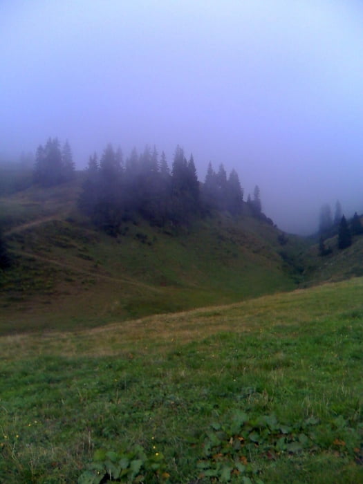 Diedamskopf über Diedamsalpen, Mittelstation