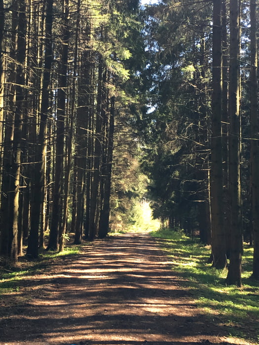 Stausee - Wertach Umrundung