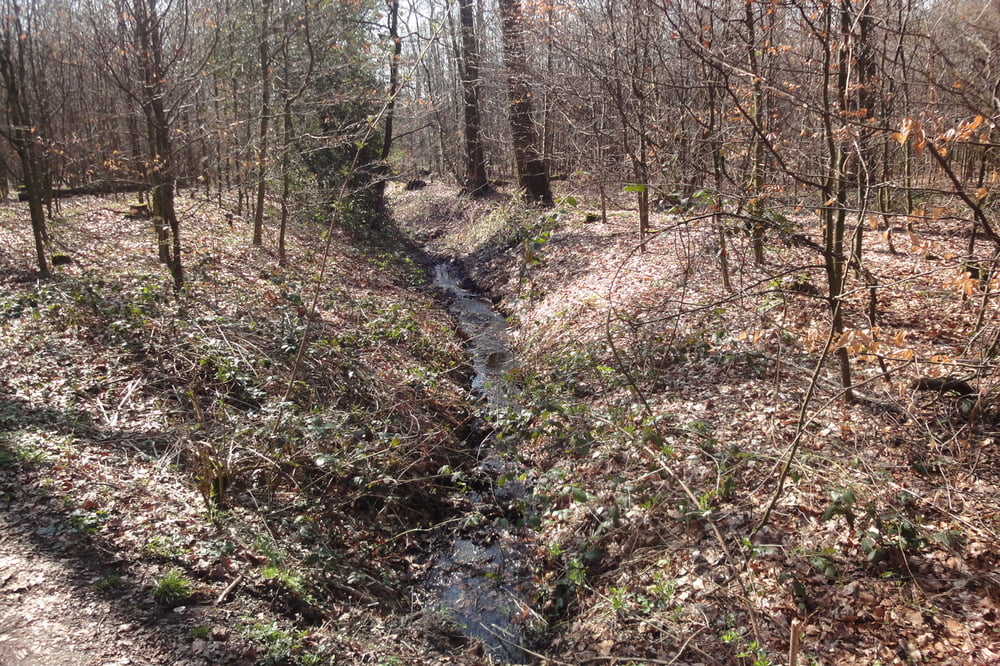 Hausrunde MülheimDuisburg 35km