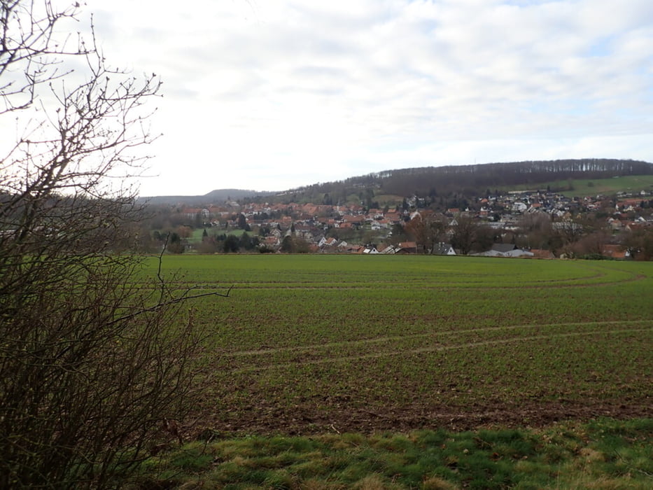 Rundtour bei Lamspringe und Ziegelhütte