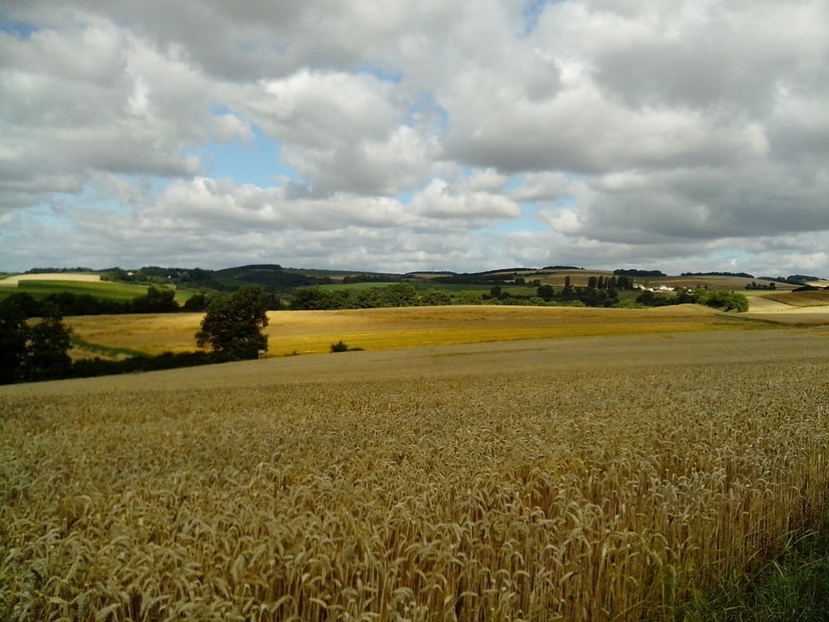 Kobern-Gondorf,Scheidterhof