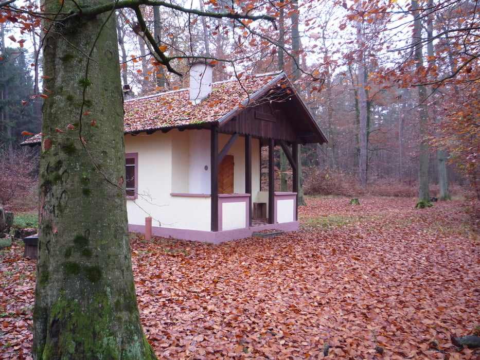 Westwall und Heilbach-Wanderweg