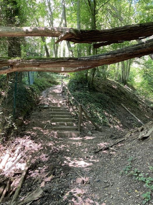 Traumpfädchen-Löfer Rabenlaypfad (01.08.2021)