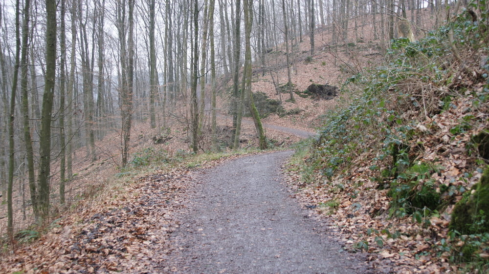 Von Burg zur Sengstbach-Talsperre bis nach Burg