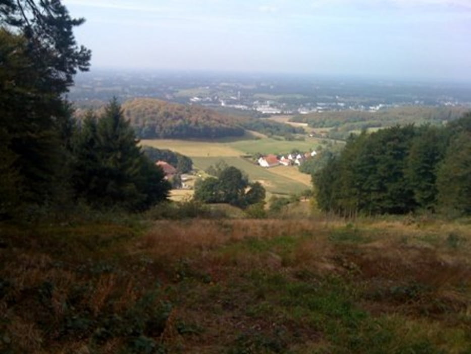 Teutoburger Wald von Quelle nach Werther über X25 zurück