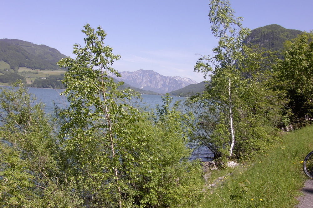 Wallersee und Mattsee