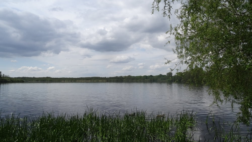 Rundweg an den Krickenbeckerseen