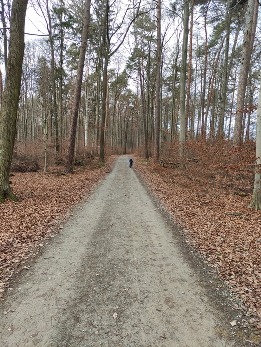 Tour zwischen Rohrbronn, Bouch und Geradstetten