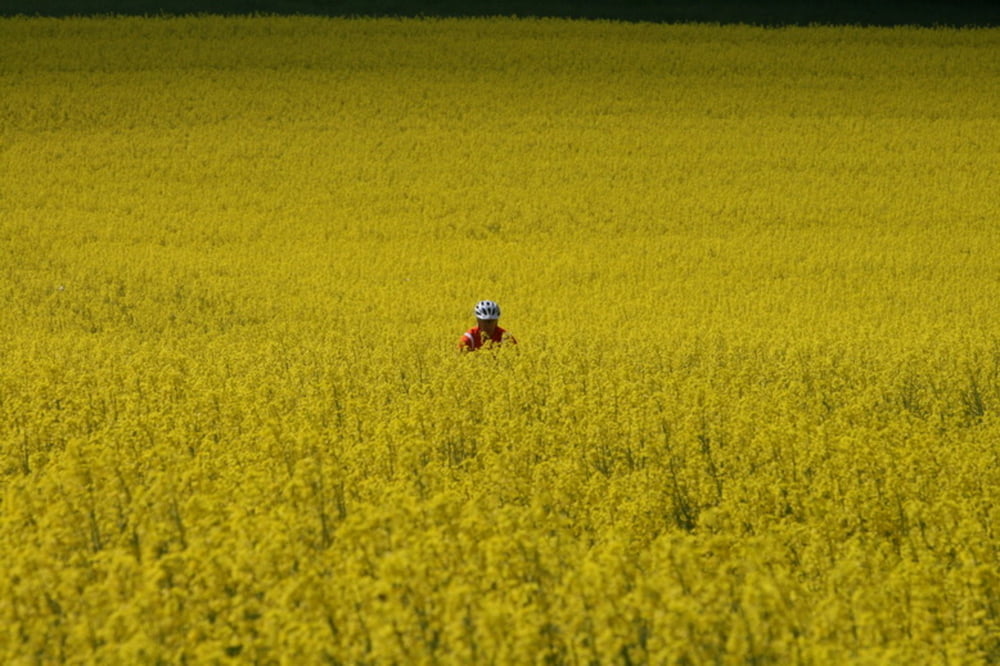 Die Vormfrühstücksrunde