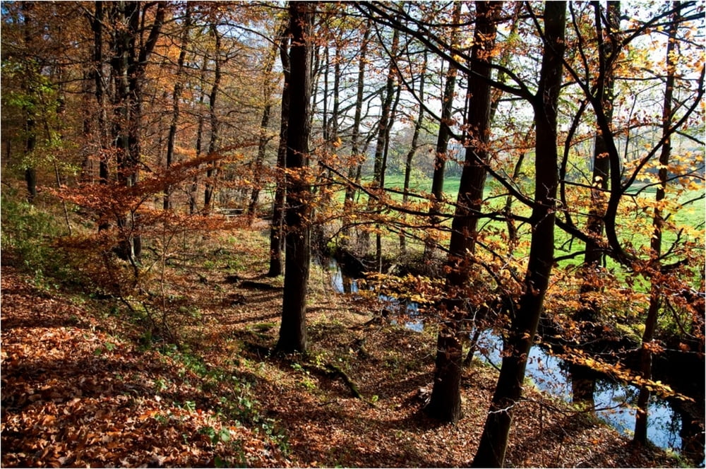 Kleine Runde im Elsebachtal