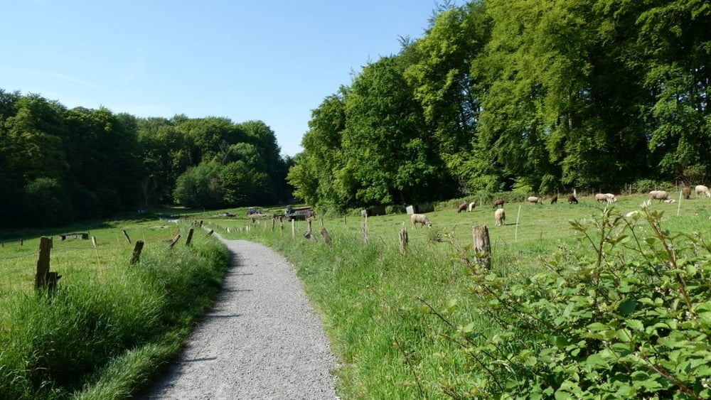 Entlang des Schwarzbroicher Bachs