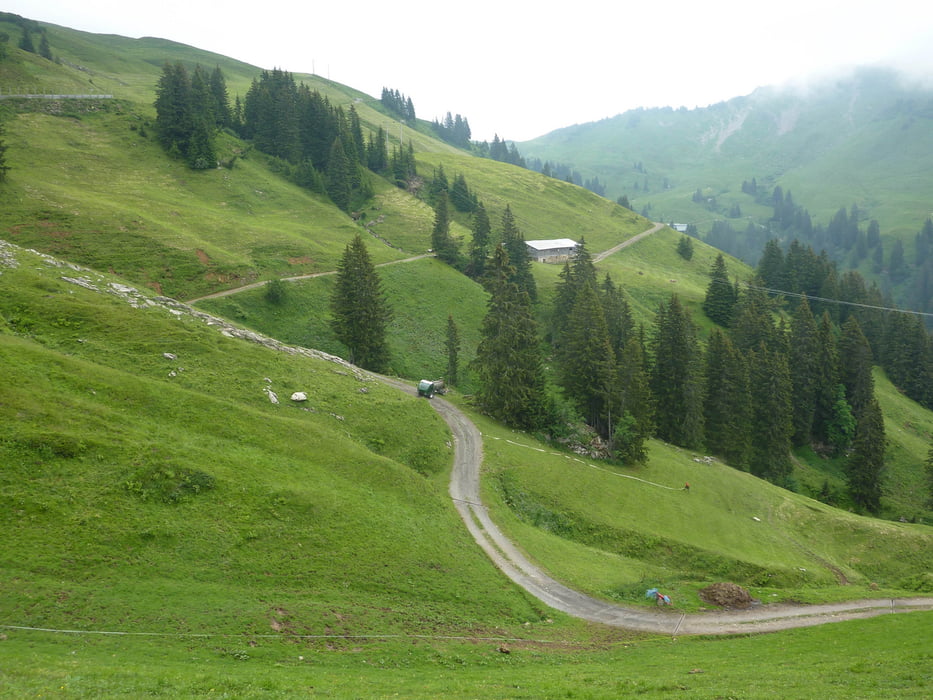 Diedamskopf (Mittelstation - Breitenalpe - Neuhornbachalpe - Schwarzwasserhütte - Gerachsattel - Kreuzle - Bergstation)