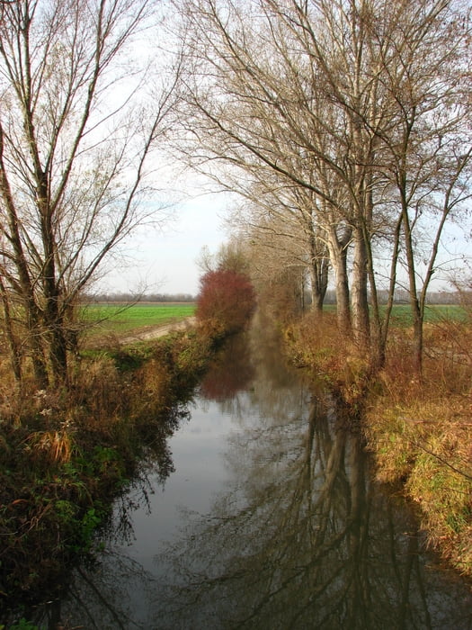 20091126_Ku babke a kúsok za Deutsch Jahrndorf