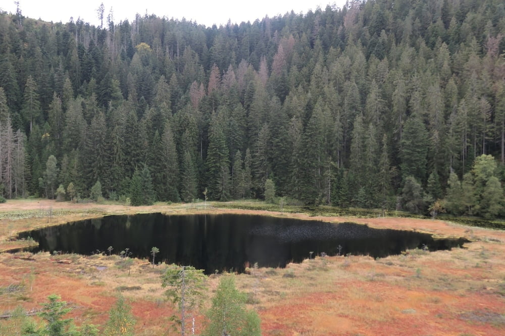 Von Baiersbronn zum Huzenbacher See