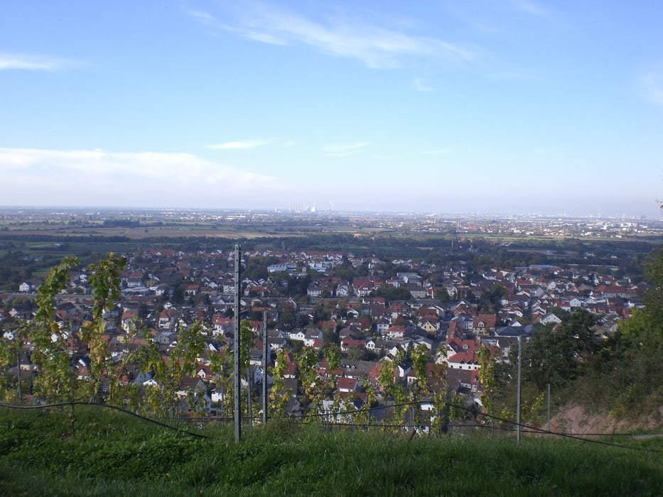 Strahlenburg -> Weißer Stein "Sonntagstour"