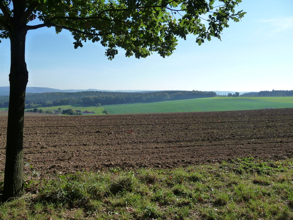 Odenwald Trophy